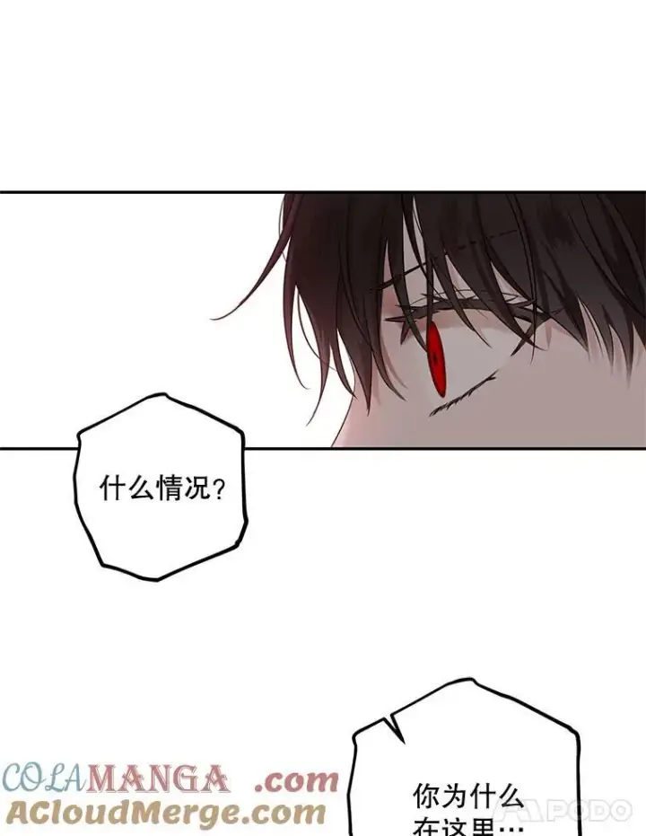 《偶然开启女尊游戏》106.尽在计划之中图21