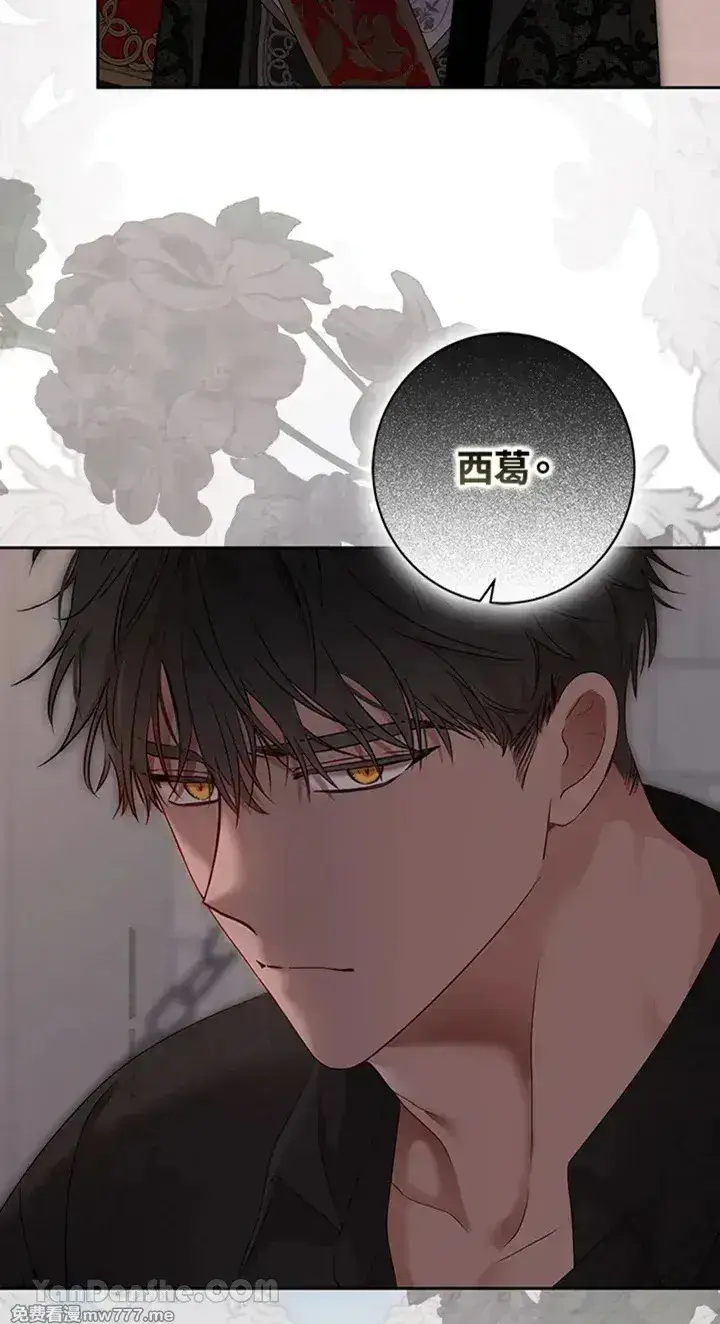 《偶然开启女尊游戏》第115话图62