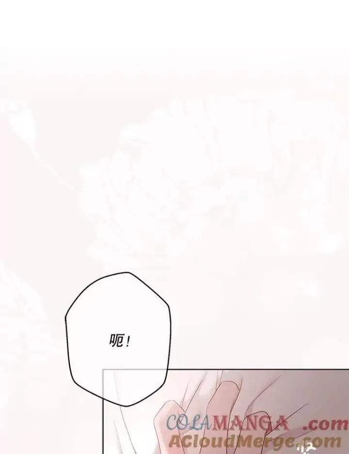 《偶然开启女尊游戏》135.片刻的脆弱图88