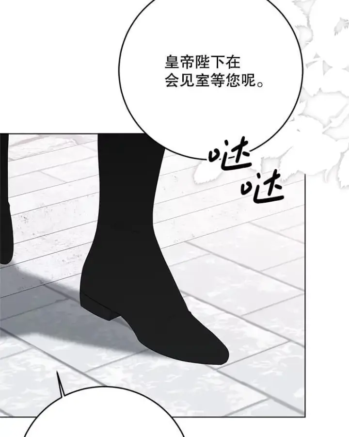 《偶然开启女尊游戏》136.大皇子到来图100