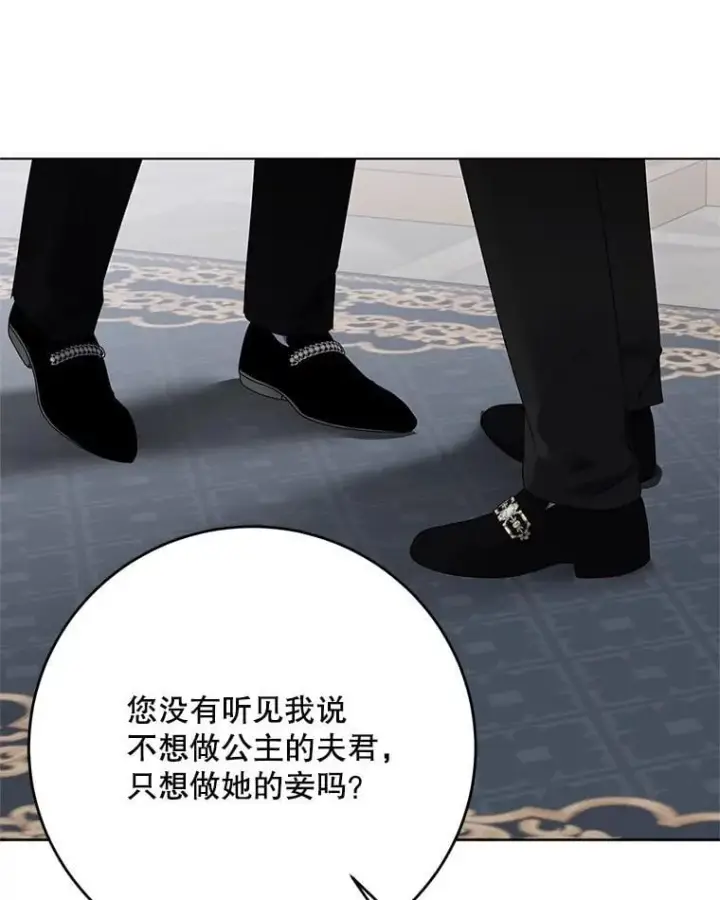 《偶然开启女尊游戏》139.皇子的争吵图89