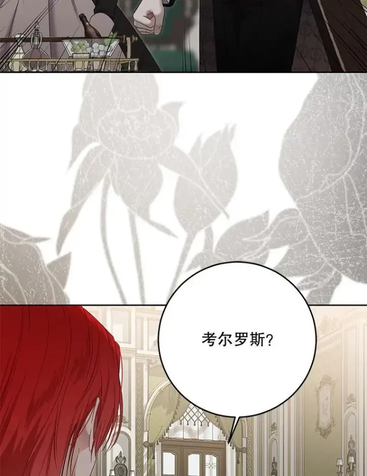 《偶然开启女尊游戏》140.考尔罗斯的隐痛图58