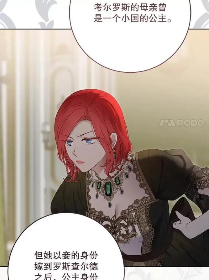 《偶然开启女尊游戏》140.考尔罗斯的隐痛图78