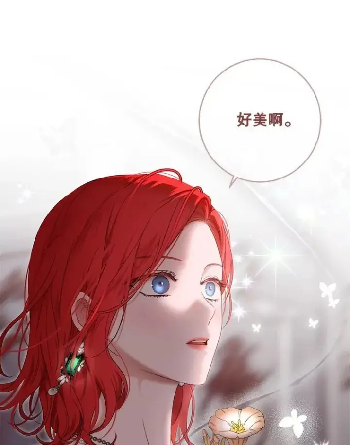 《偶然开启女尊游戏》141.考尔罗斯的坦白图21