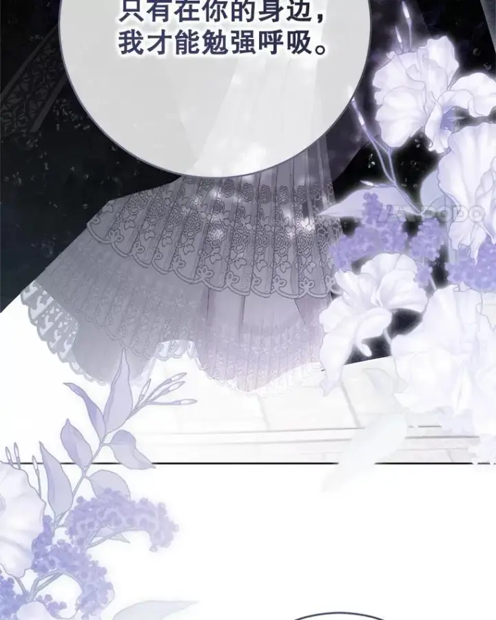 《偶然开启女尊游戏》141.考尔罗斯的坦白图97