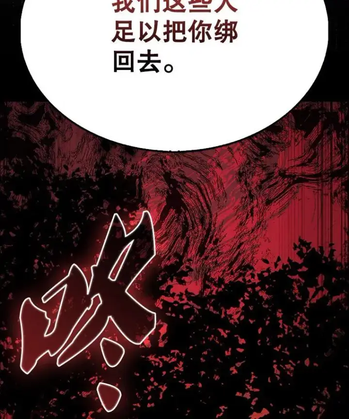 《配角太强了》52.追击图66