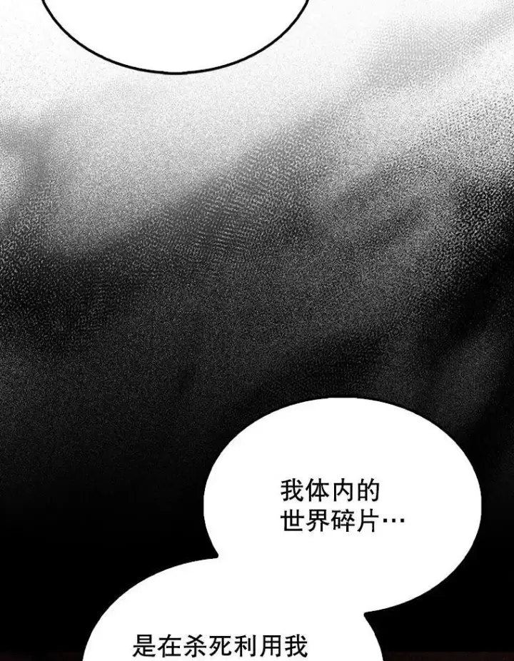 《配角太强了》64.分离世界碎片图128