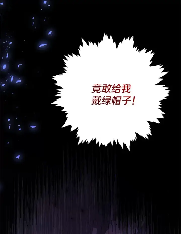 《偏执男配疯掉了》1.荒唐仪式图93
