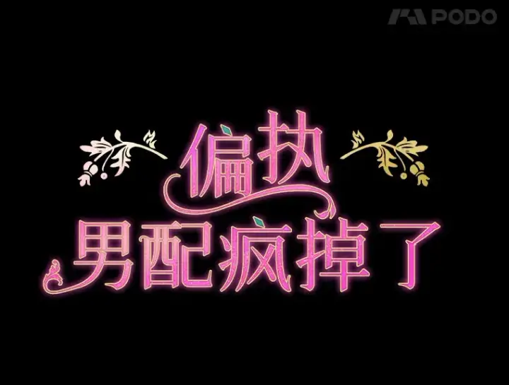 《偏执男配疯掉了》33.光之援军图66