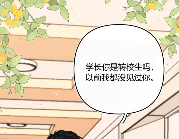漫画《请多关照》008 学长，拜托拜托第36张图