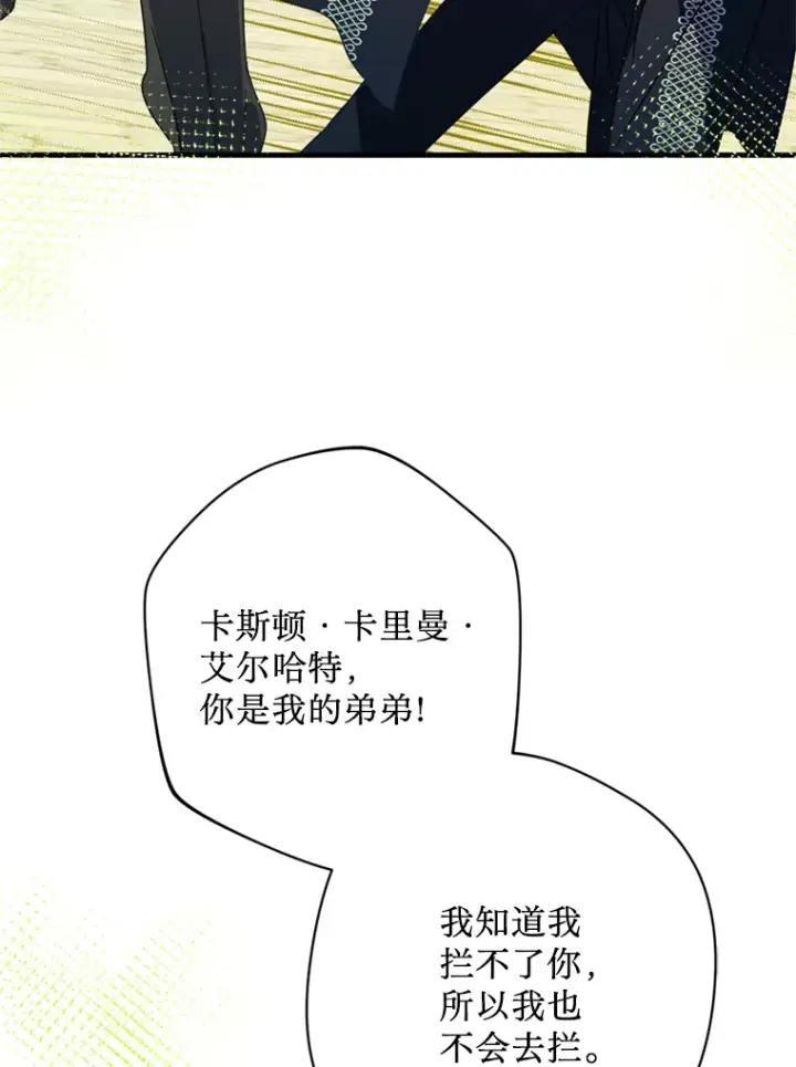 漫画《请痛快地处决我》37.微服出巡第66张图