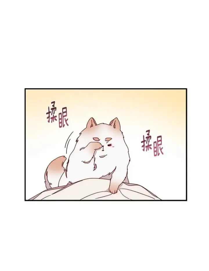 漫画《请忘了薇薇安》42.晴天霹雳第13张图