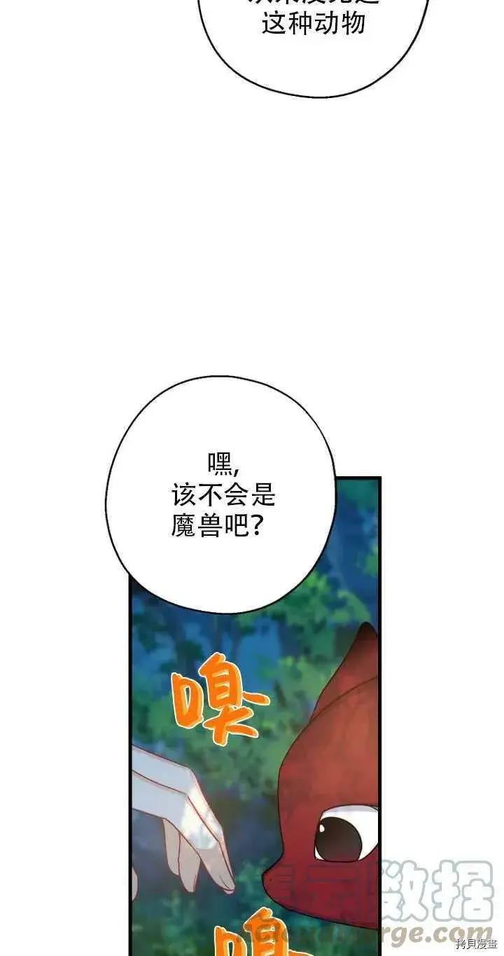《请张嘴，金汤勺来了》第33话图19