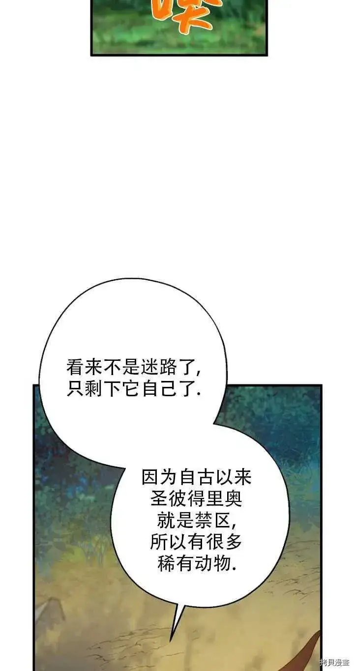 《请张嘴，金汤勺来了》第33话图20