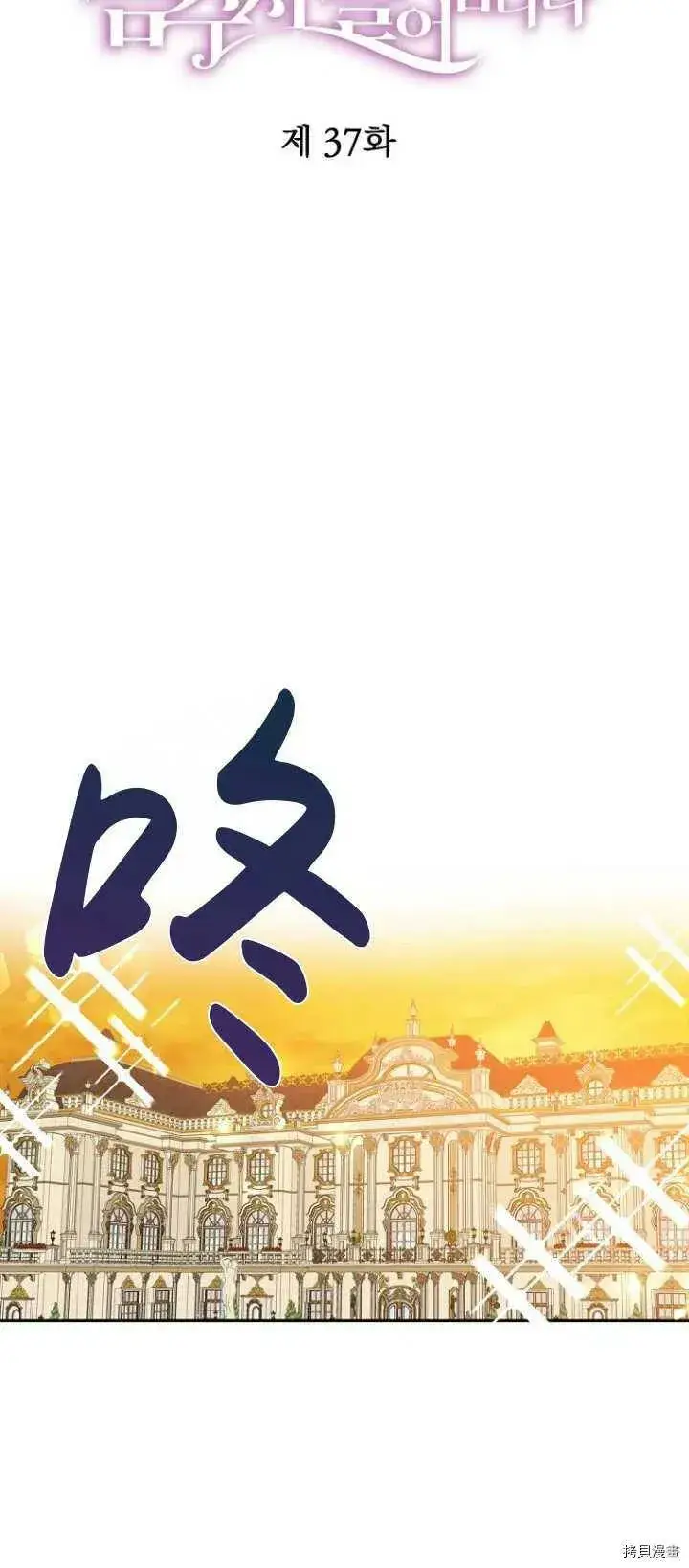 《请张嘴，金汤勺来了》第37话图12