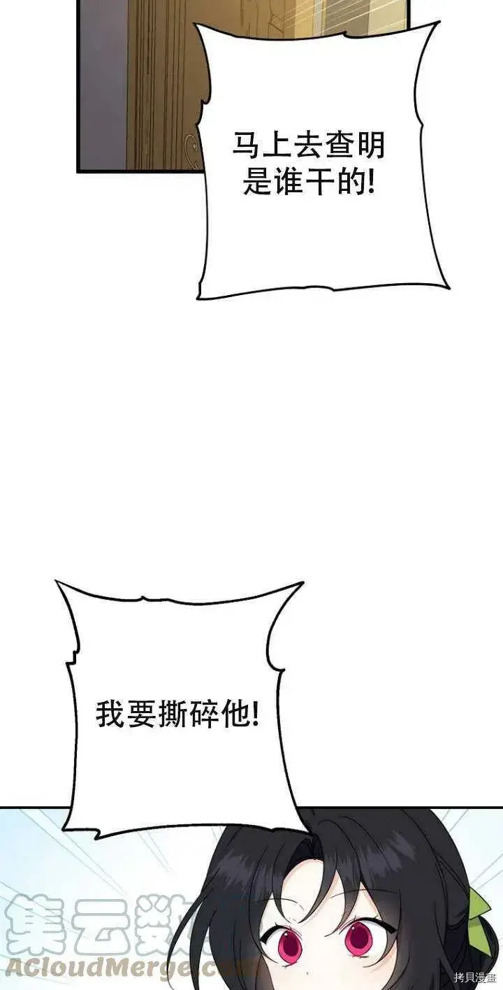 《请张嘴，金汤勺来了》第38话图13