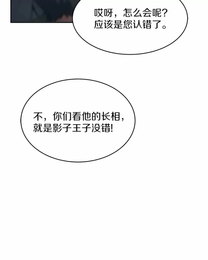 《其实我是SSS级神医》7.参加王宫庆典图135