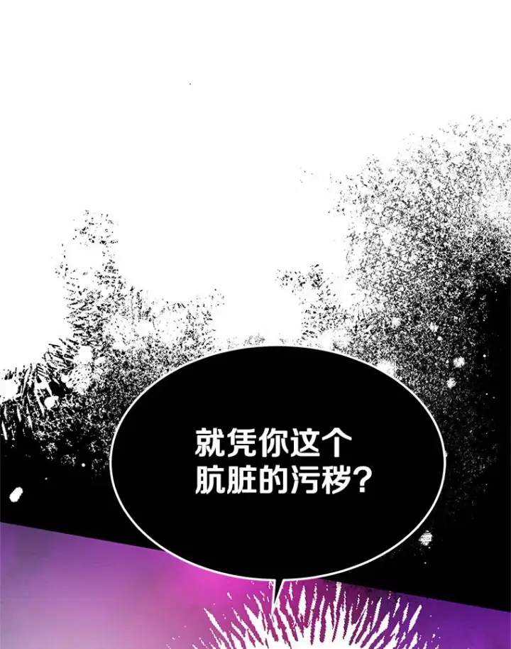 《其实我是SSS级神医》7.参加王宫庆典图178