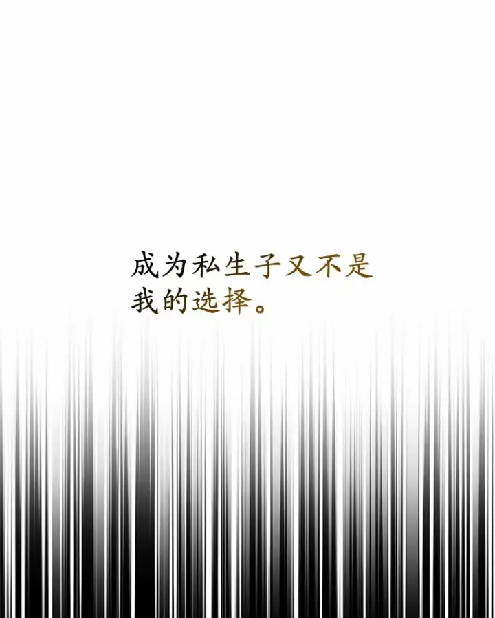 《其实我是SSS级神医》7.参加王宫庆典图66