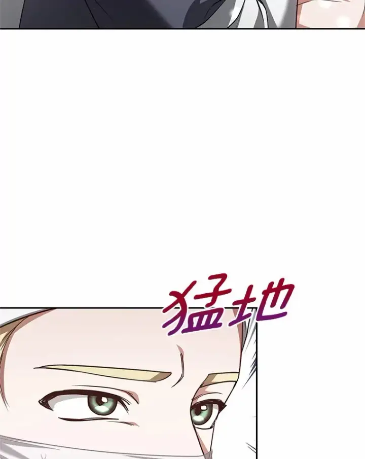 《其实我是SSS级神医》13.他是个贵族？图30