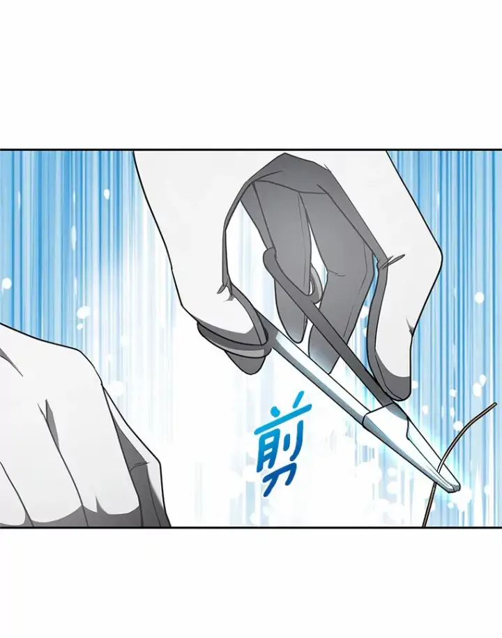 《其实我是SSS级神医》13.他是个贵族？图54