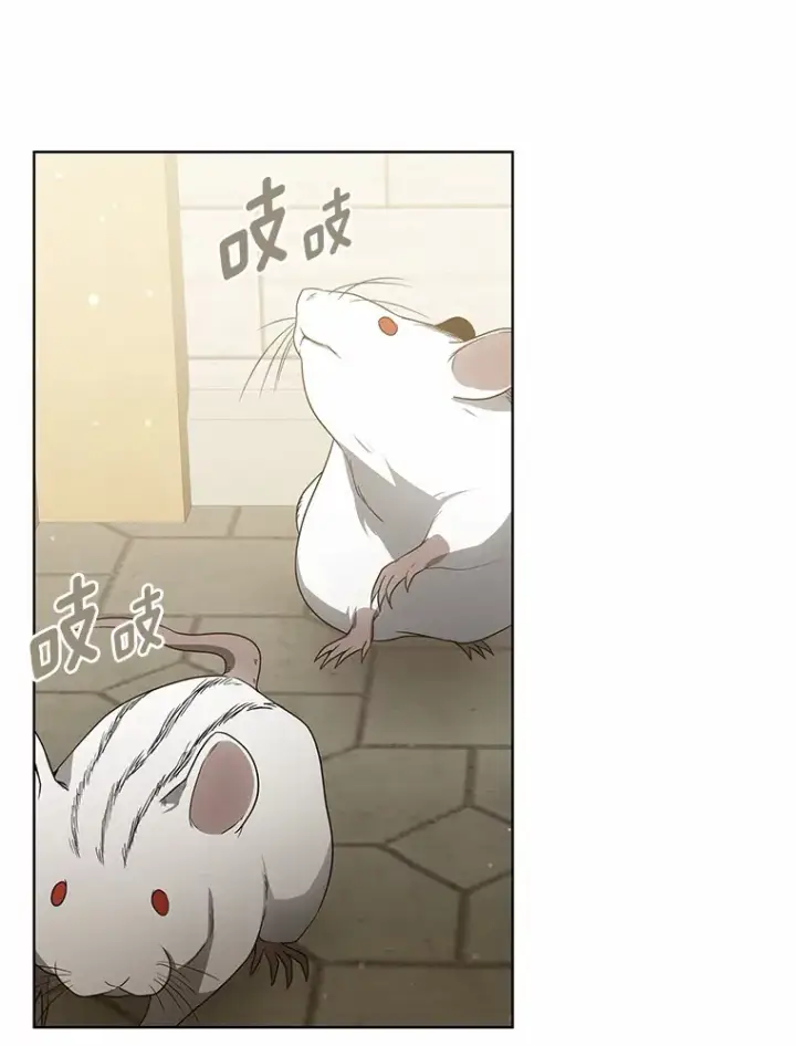 漫画《其实我是SSS级神医》38.巴斯汀出血热第109张图