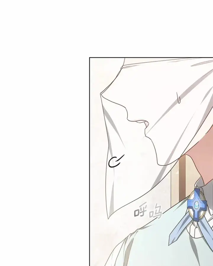 漫画《其实我是SSS级神医》45.伟大的治疗师第44张图