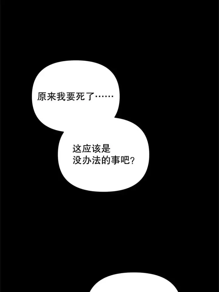 《契约夫妻的每一夜》5.蕾西亚的死图43