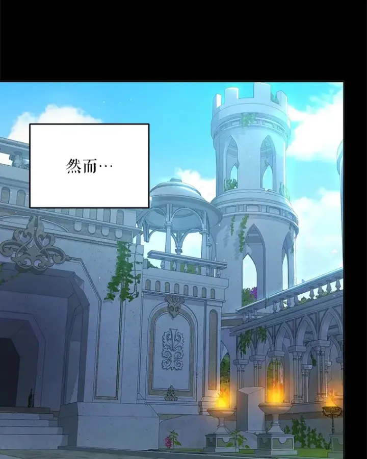 《契约夫妻的每一夜》13.真假大神官图57