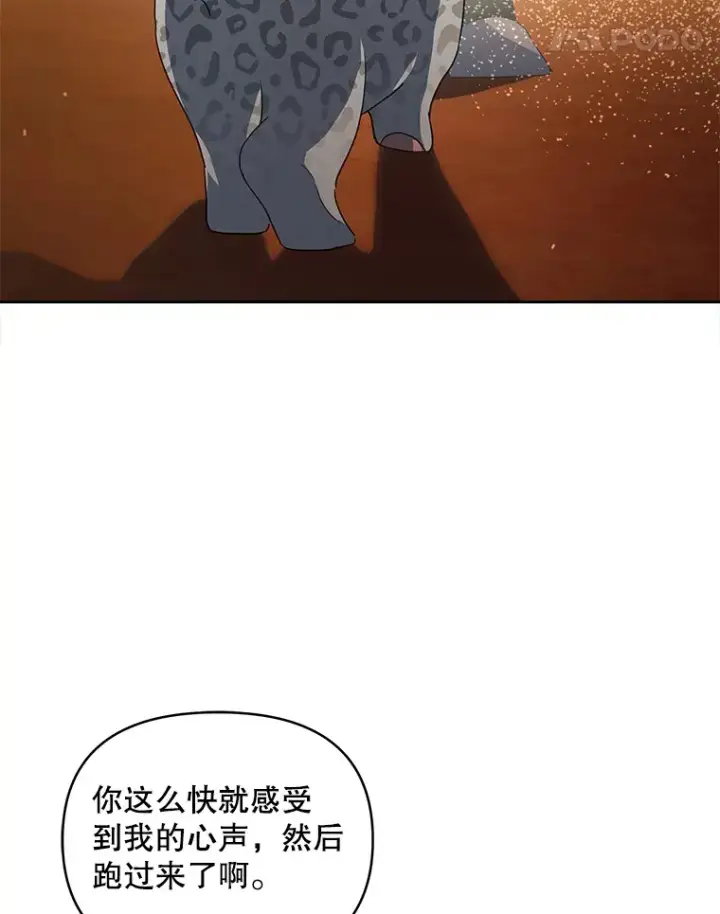 《契约夫妻的每一夜》29.大战小洛图69
