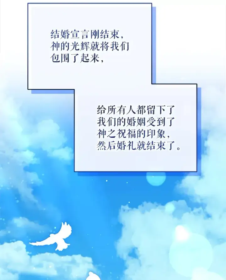 《契约夫妻的每一夜》32.成婚图102