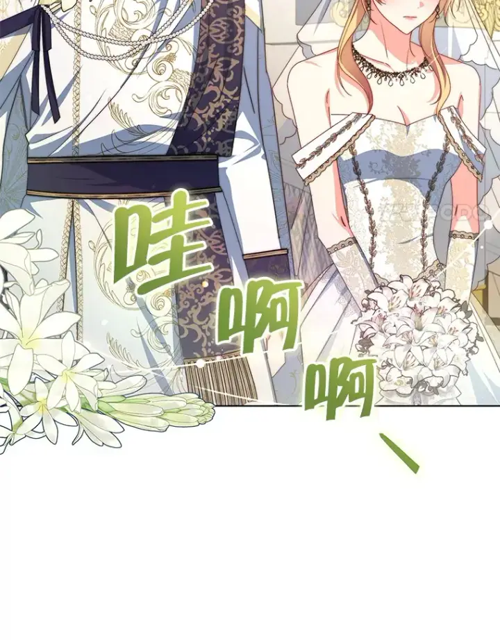 《契约夫妻的每一夜》32.成婚图25