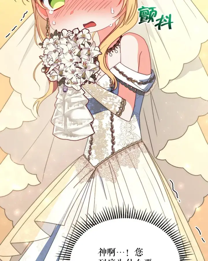 《契约夫妻的每一夜》32.成婚图66