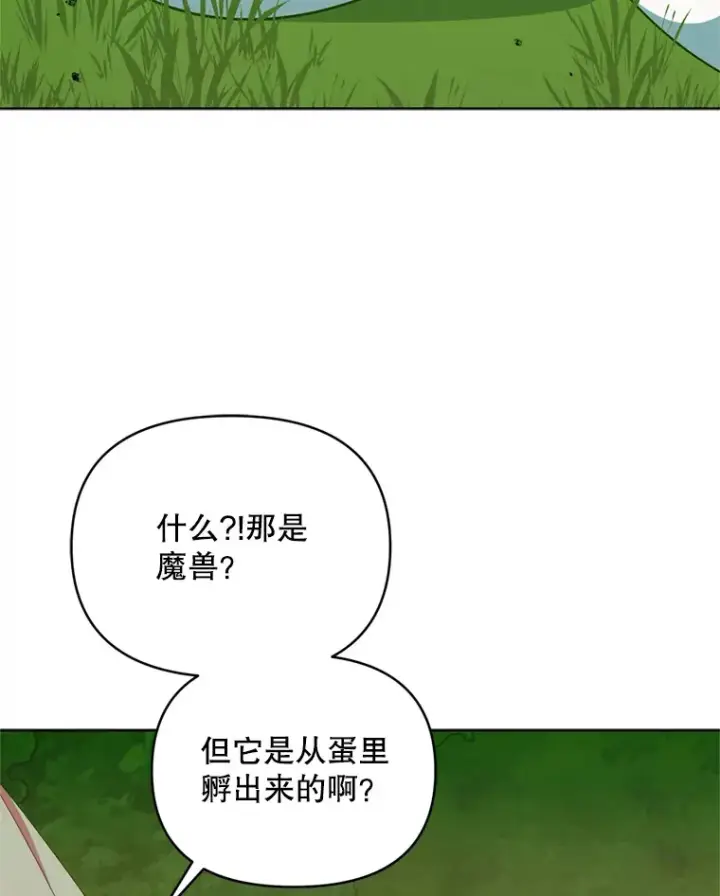 《契约夫妻的每一夜》56.神奇的魔兽图78