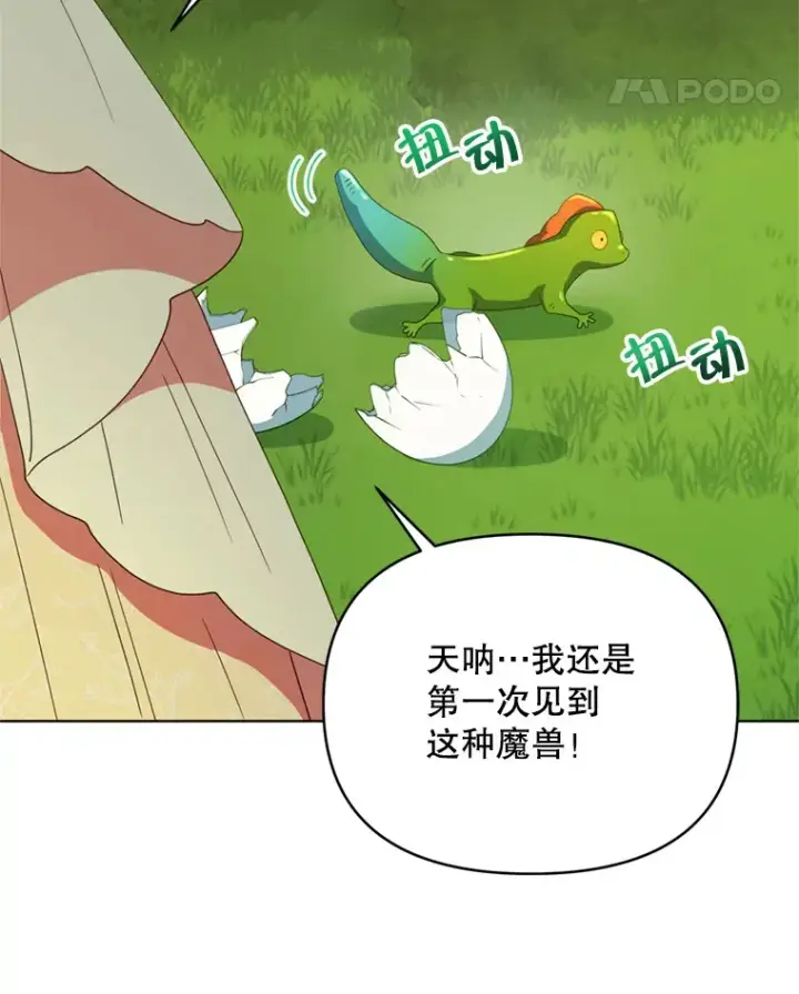 《契约夫妻的每一夜》56.神奇的魔兽图79