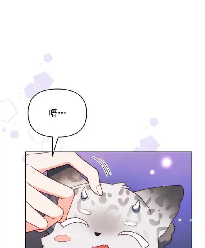 《契约夫妻的每一夜》57.奇怪的村子图93