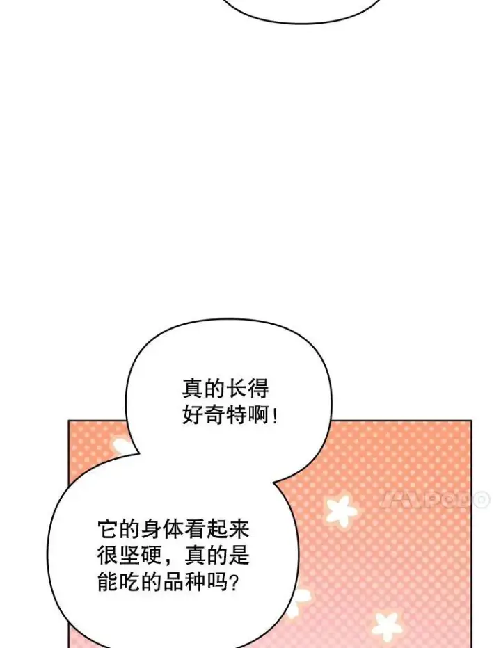 《契约夫妻的每一夜》62.来到海边图41