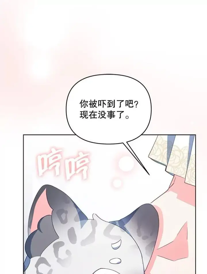 《契约夫妻的每一夜》63.被绑架图41