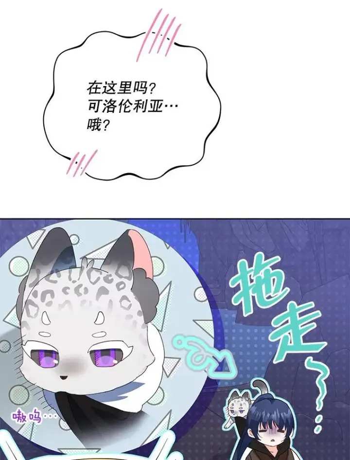 《契约夫妻的每一夜》64.讨要魔石图83