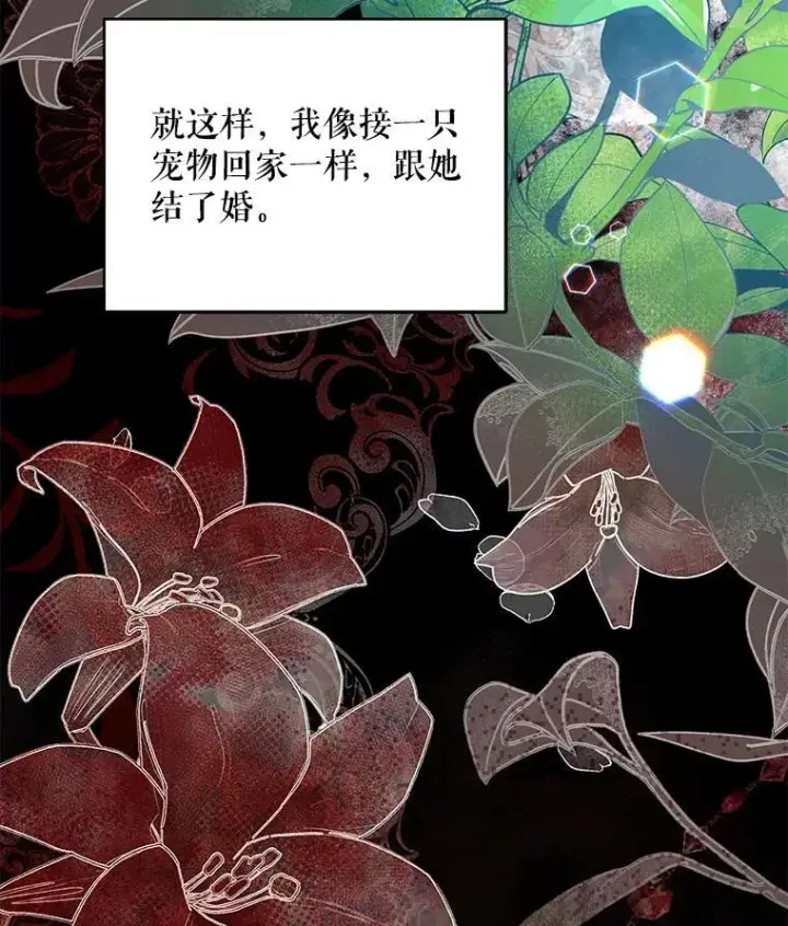 《契约夫妻的每一夜》68.凯撒克的回忆图90