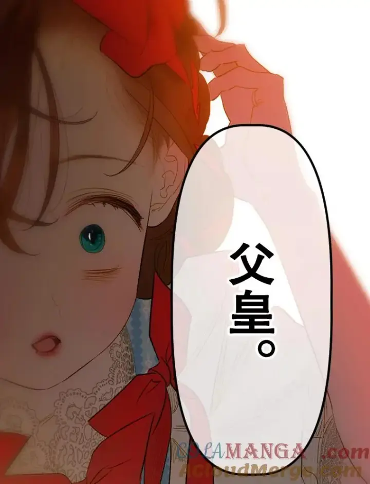 《契约皇后的女儿》11.父皇图65