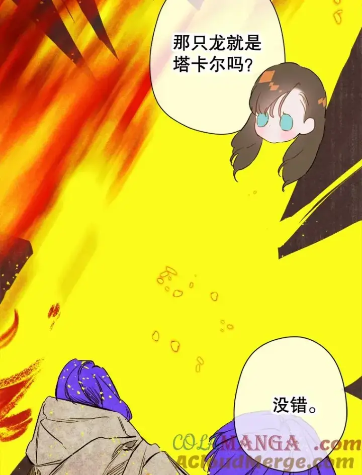《契约皇后的女儿》12.龙的后代图65