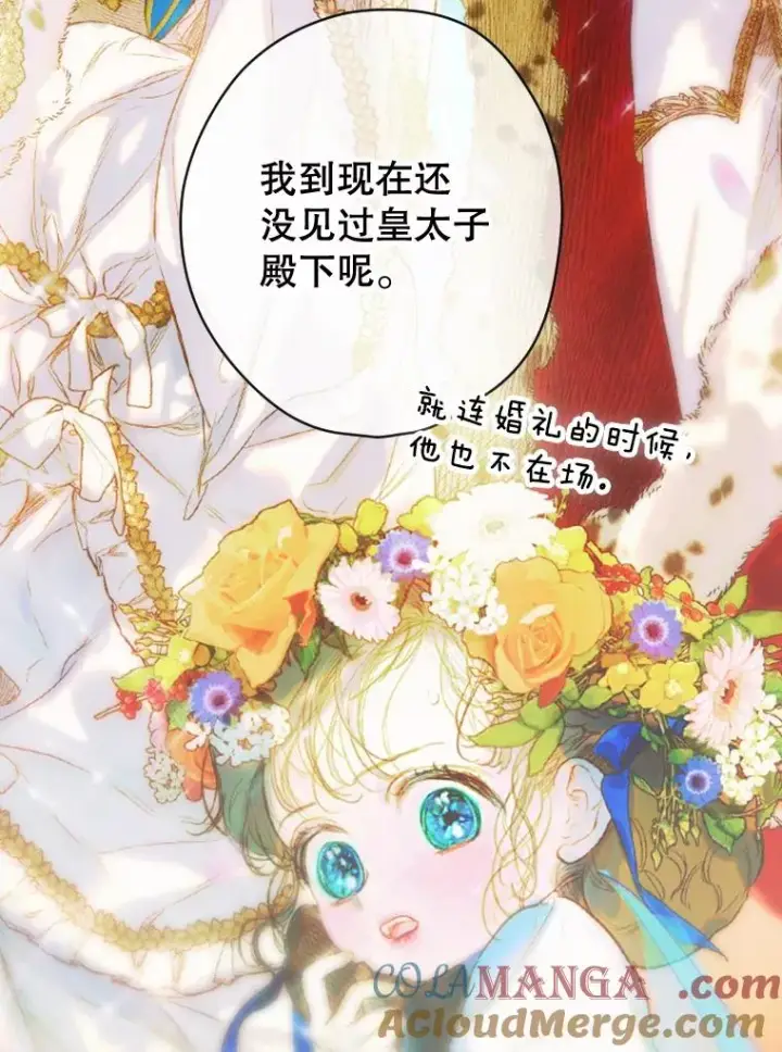 《契约皇后的女儿》16.皇太子归来图43