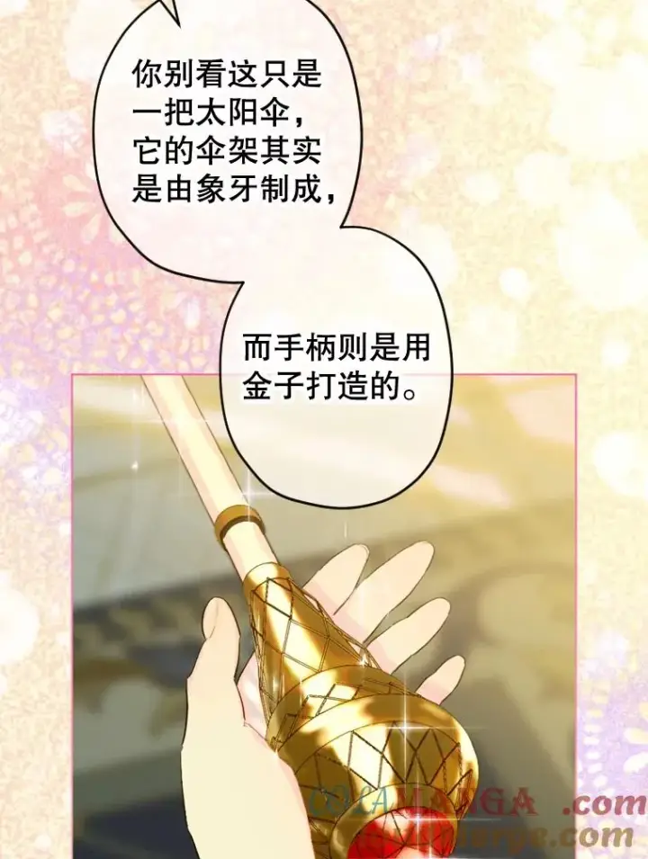 《契约皇后的女儿》20.神秘少年图16