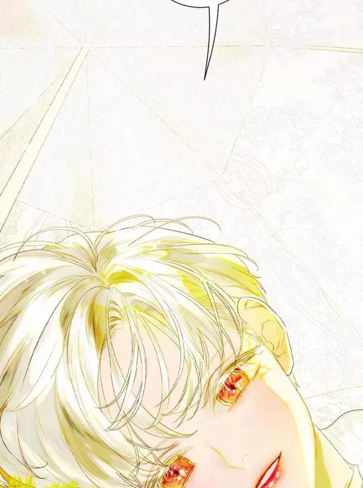 《契约皇后的女儿》20.神秘少年图80