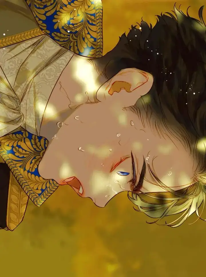 《契约皇后的女儿》26.遇刺图118