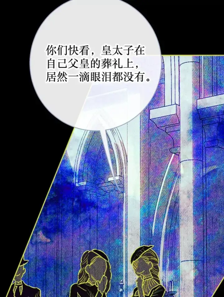 《契约皇后的女儿》26.遇刺图52