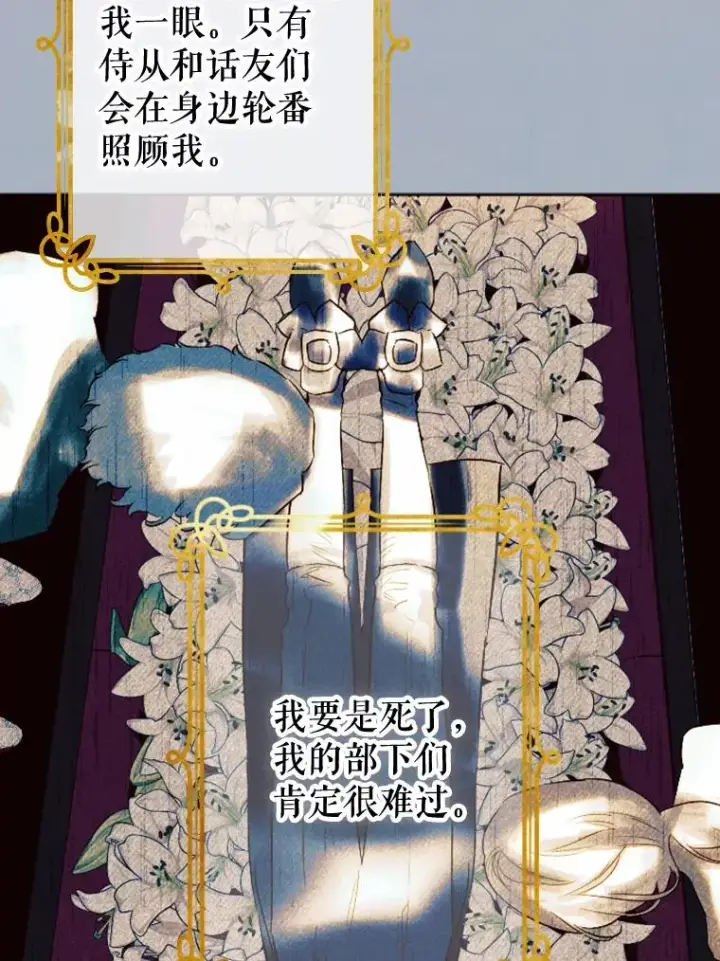 《契约皇后的女儿》26.遇刺图95