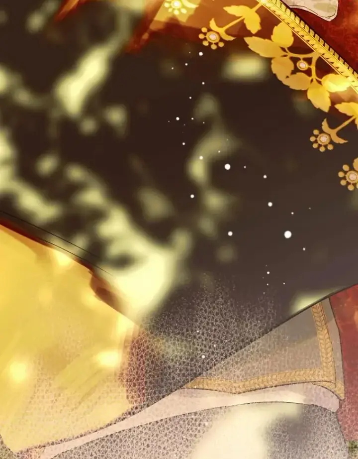 《契约皇后的女儿》27.被救图26