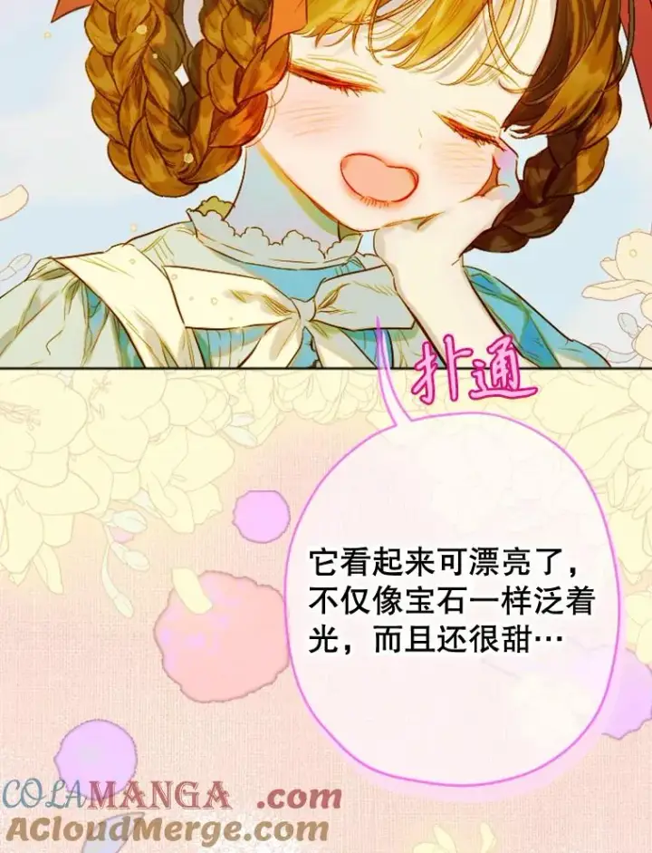 《契约皇后的女儿》31.皇太子的领地图101
